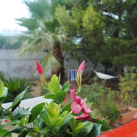 Bed & Breakfast Annavi 3*