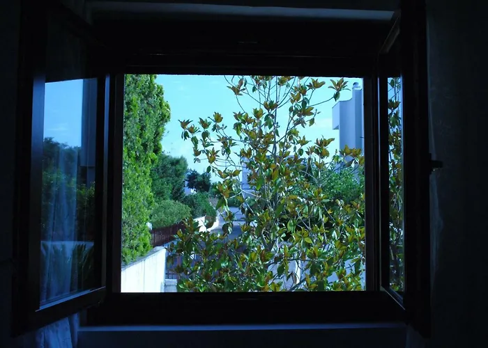 Alojamento de Acomodação e Pequeno-almoço Annavi 3*