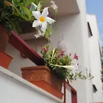 Bed & Breakfast Annavi