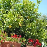Annavi Bed & Breakfast