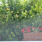 Bed & Breakfast Annavi 3*