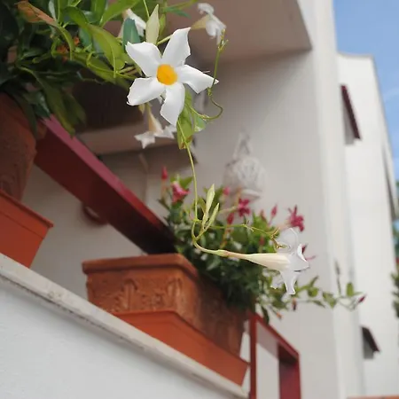 Bed & Breakfast Annavi