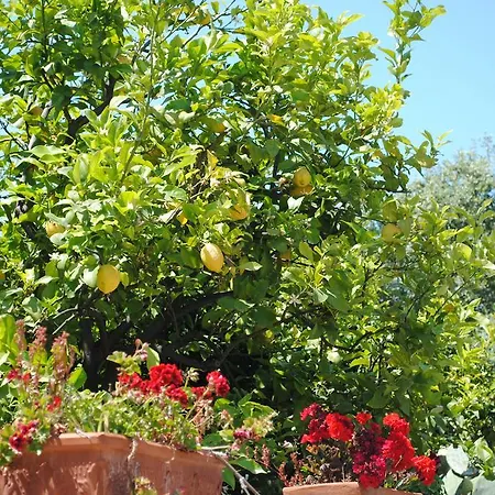 Annavi Bed & Breakfast