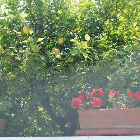 Bed & Breakfast Annavi 3*