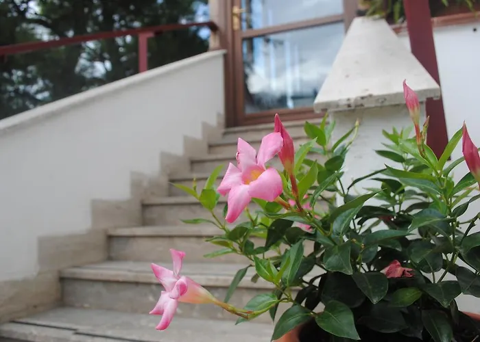 住宿加早餐酒店 安娜维住宿加早餐旅馆 巴里