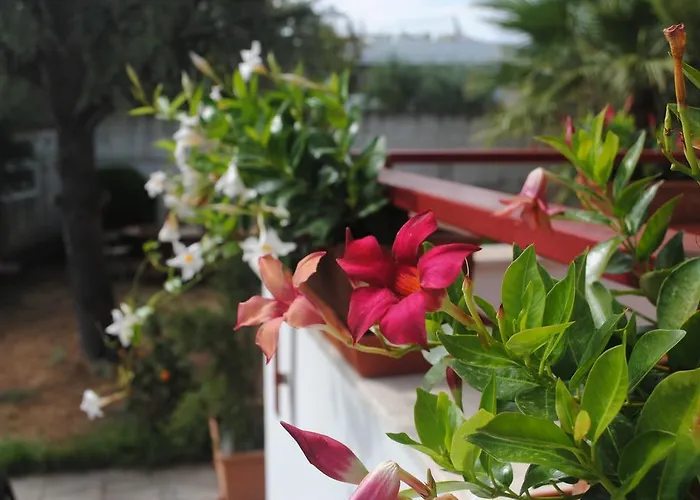 安娜维住宿加早餐旅馆 巴里