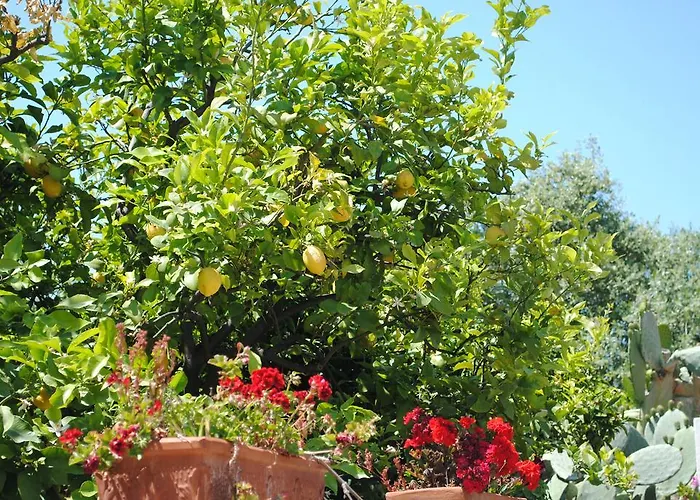 Annavi Bed & Breakfast